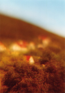 Landschaft II, 2003, analoge Fotografie